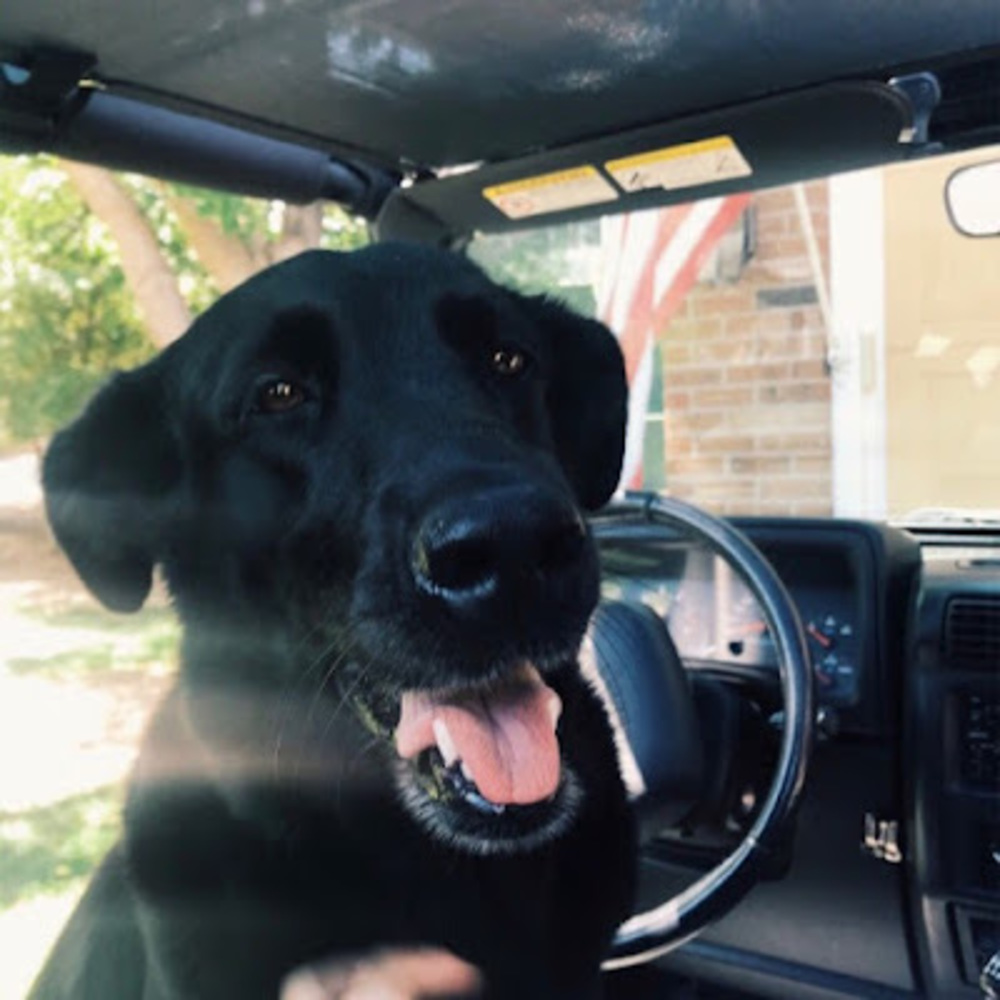 Meet your Posher, Emerson